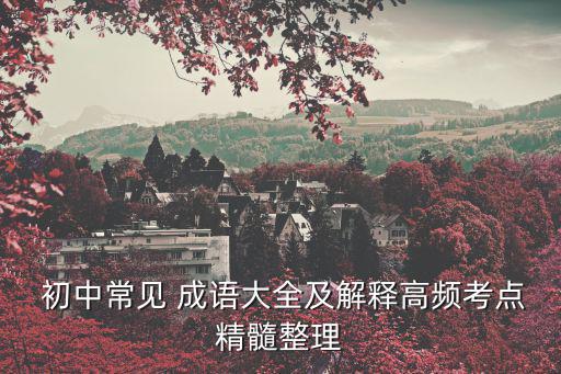  初中常見 成語大全及解釋高頻考點精髓整理