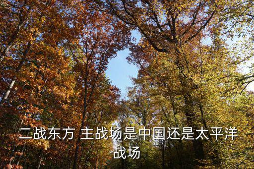  二戰(zhàn)東方 主戰(zhàn)場是中國還是太平洋戰(zhàn)場