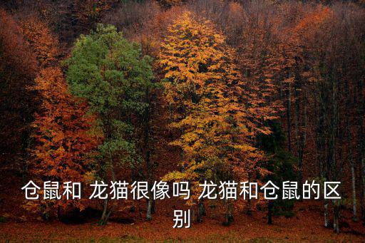 倉鼠和 龍貓很像嗎 龍貓和倉鼠的區別
