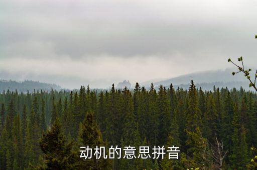  動機的意思拼音