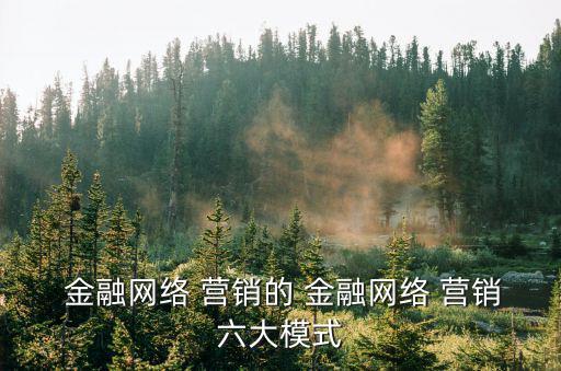  金融網絡 營銷的 金融網絡 營銷六大模式