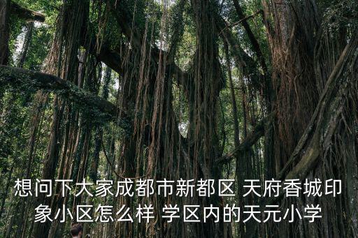 想問下大家成都市新都區 天府香城印象小區怎么樣 學區內的天元小學