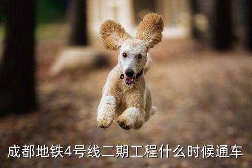 成都地鐵4號線二期工程什么時(shí)候通車