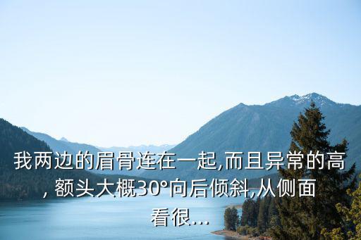 我兩邊的眉骨連在一起,而且異常的高, 額頭大概30°向后傾斜,從側面看很...