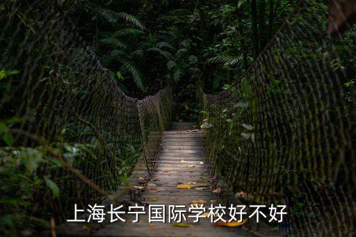上海長寧國際學校好不好