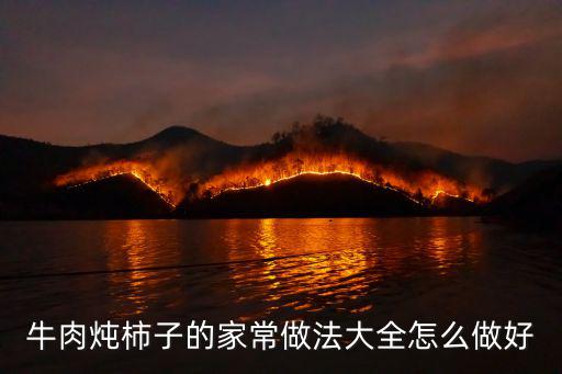 牛肉燉柿子的家常做法大全怎么做好