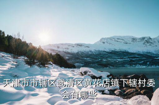 天津市黃花店鎮領導，現任天津市市長是誰