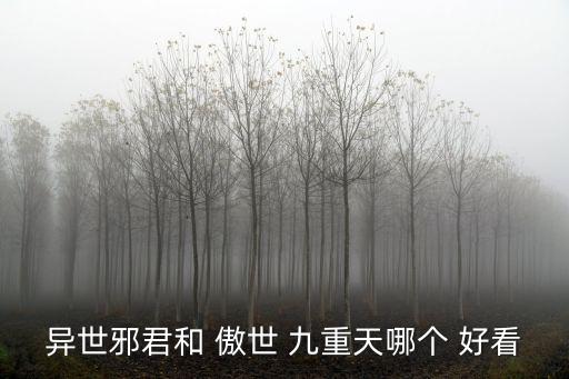 傲世九重天好看嗎,傲世九重天略勝一籌但目標(biāo)明確
