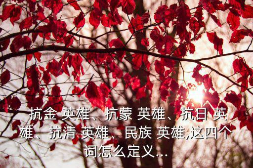 抗金 英雄、抗蒙 英雄、抗日 英雄、抗清 英雄、民族 英雄,這四個詞怎么定義...