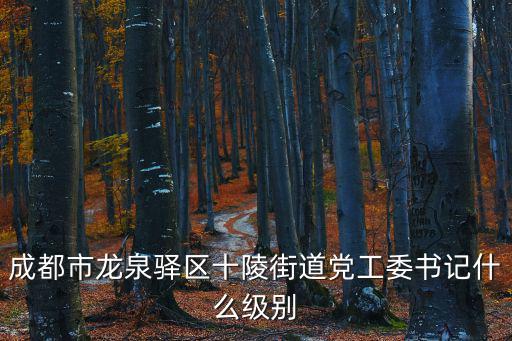 成都市龍泉驛區十陵街道黨工委書記什么級別