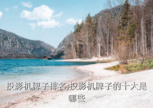 投影機牌子排名,投影機牌子的十大是哪些