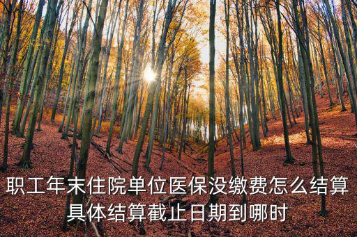 職工年末住院單位醫保沒繳費怎么結算具體結算截止日期到哪時
