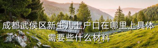 成都武侯區新生兒上戶口在哪里上具體需要些什么材料
