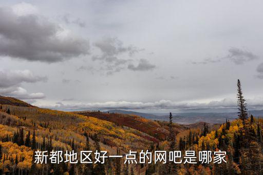 新都地區好一點的網吧是哪家