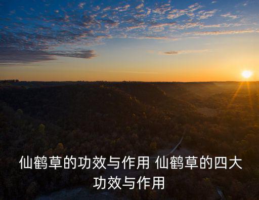  仙鶴草的功效與作用 仙鶴草的四大功效與作用