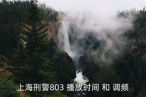 上海市視頻播放，東方衛(wèi)視的上海上海幾點(diǎn)開始播放