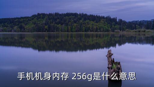 手機機身內存 256g是什么意思