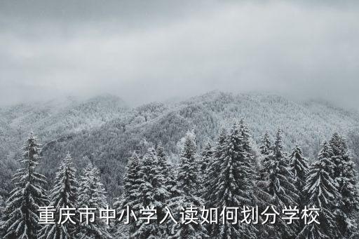 重慶市中小學(xué)入讀如何劃分學(xué)校