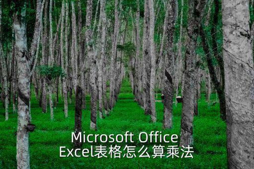 Microsoft Office Excel表格怎么算乘法