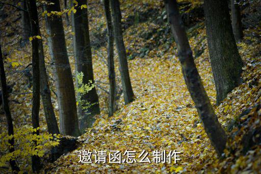 邀請函怎么制作