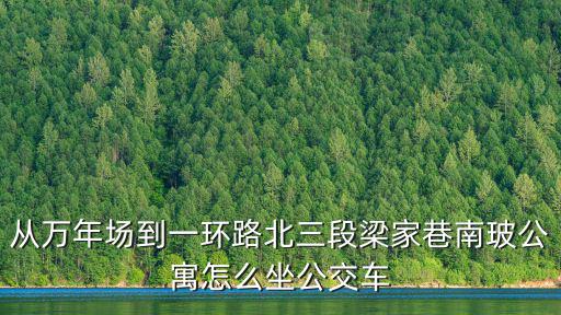 從萬年場到一環(huán)路北三段梁家巷南玻公寓怎么坐公交車