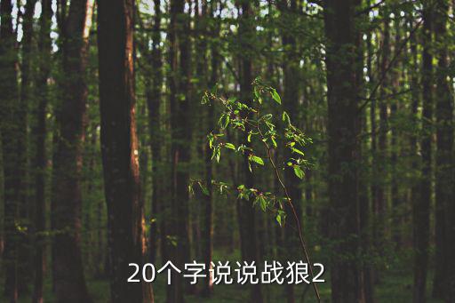 20個字說說戰狼2