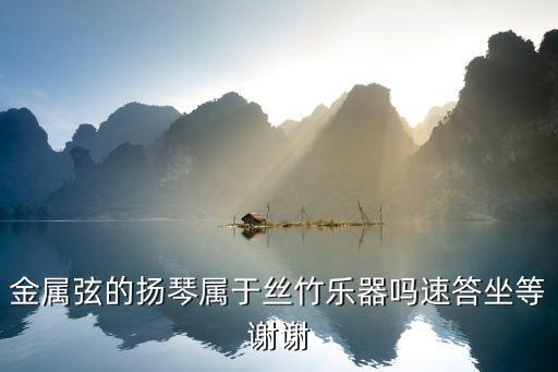 金屬弦的揚琴屬于絲竹樂器嗎速答坐等謝謝