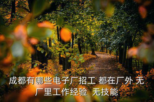 成都有哪些電子廠招工 都在廠外 無廠里工作經(jīng)驗(yàn)  無技能