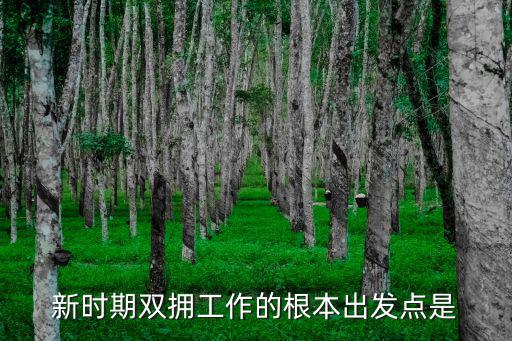 新時(shí)期雙擁工作的根本出發(fā)點(diǎn)是