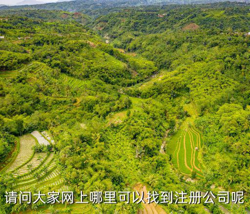 請問大家網上哪里可以找到注冊公司呢