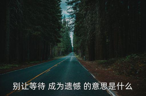 別讓等待 成為遺憾 的意思是什么