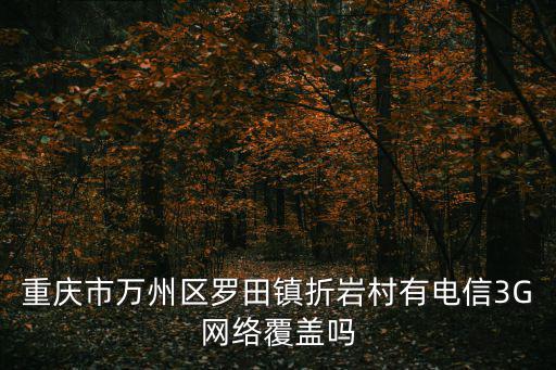 重慶市萬州區(qū)羅田鎮(zhèn)折巖村有電信3G網(wǎng)絡(luò)覆蓋嗎