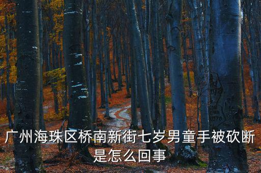 廣州海珠區橋南新街七歲男童手被砍斷是怎么回事