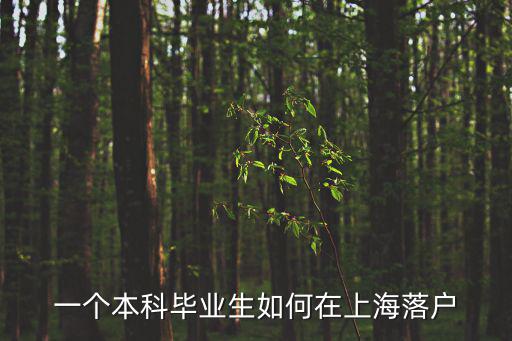 一個(gè)本科畢業(yè)生如何在上海落戶