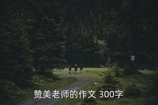 贊美老師的作文 300字