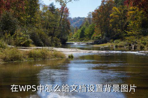 在WPS中怎么給文檔設置背景圖片