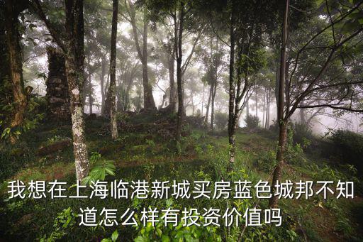 上海臨港新區房子值得買嗎，我想在上海臨港新城買房藍色城邦不知道怎么樣有投資價值嗎