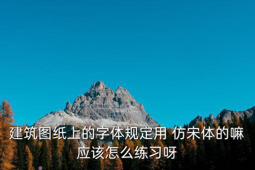 建筑圖紙上的字體規定用 仿宋體的嘛應該怎么練習呀