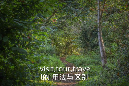 visit的用法