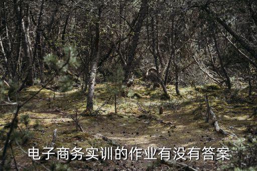 電子商務(wù)實訓(xùn)的作業(yè)有沒有答案