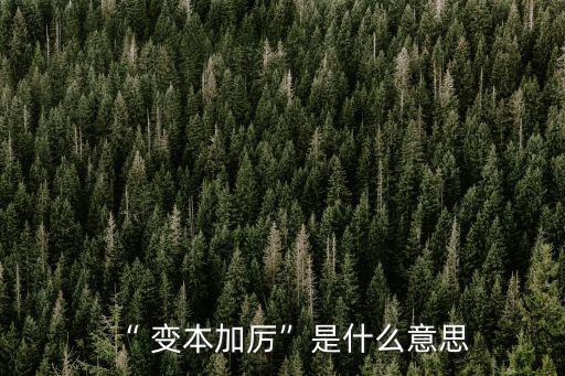 “ 變本加厲”是什么意思