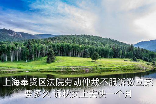 上海奉賢區法院勞動仲裁不服訴訟立案要多久 訴狀交上去快一個月