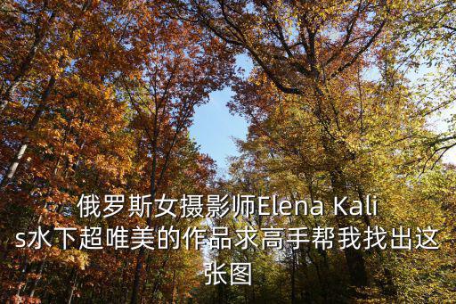 俄羅斯女攝影師Elena Kalis水下超唯美的作品求高手幫我找出這張圖