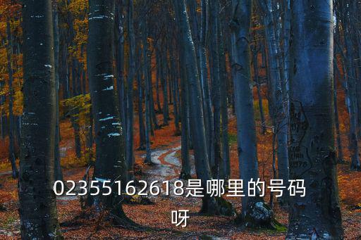老賴查詢重慶市云陽縣，渝f92j53