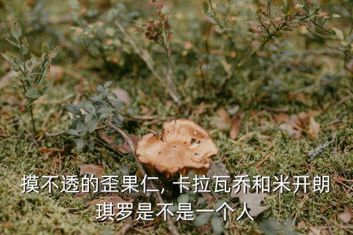 卡拉瓦喬,巴洛克畫派創始人卡拉瓦喬