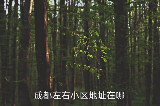 成都左右小區地址在哪