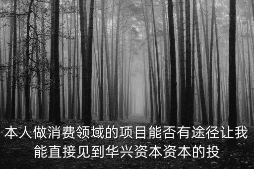 本人做消費領域的項目能否有途徑讓我能直接見到華興資本資本的投