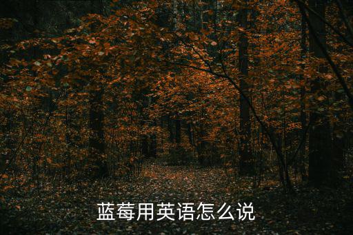 藍莓用英語怎么說