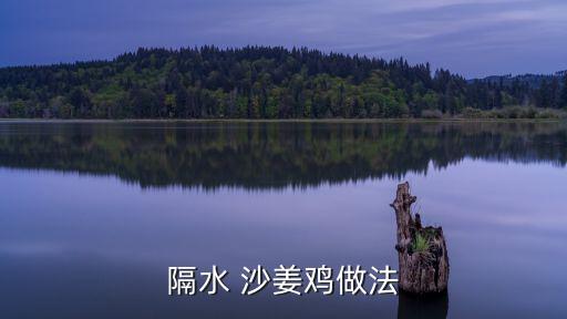 隔水 沙姜雞做法
