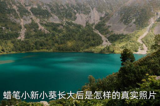 向日葵的照片,向日葵是什么?原來是這樣